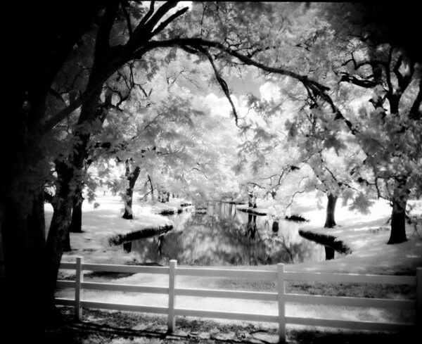 Infrared photography of a serene landscape with ethereal light through trees reflecting in water.