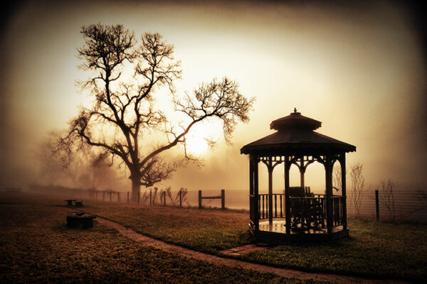 Misty Morning Repose - Gazebo and Tree in a Foggy Park at Dawn