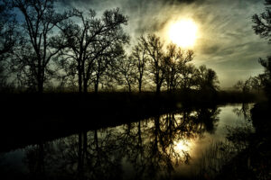 Morning sunlight casting a warm glow over Bessie's Creek with perfect reflections of bare trees in the water, photographed by Ken Osborne.