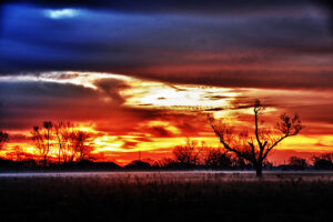 A vivid sunrise with fiery colors silhouetting trees at Bessie's Creek, captured by Ken Osborne.