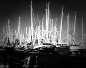 Infrared photograph of a densely populated marina with numerous sailboat masts piercing the sky.