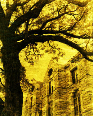 Gold-toned image of Hallettsville church framed by oak branches, by Ken Osborne, evoking timeless spirituality.