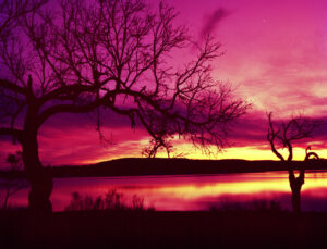 Purple sunset and tree silhouettes on Inks Lake by Ken Osborne