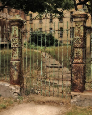 Rusty gates of an abandoned insane asylum