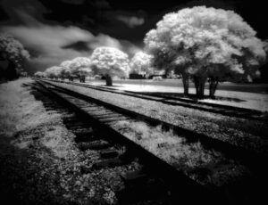 Infrared image of railroad tracks disappearing into the horizon, lined by ethereal white trees.