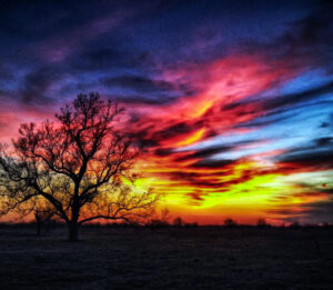 Colorful sunset with tree silhouette by Ken Osborne