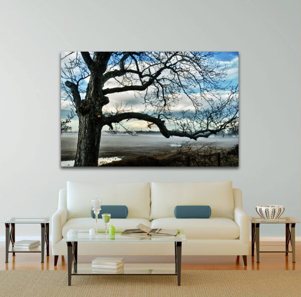 "Simonton Silhouette Sunrise" elegantly displayed above a modern white couch, capturing the tranquil beauty of a sunrise silhouetting the landscape.