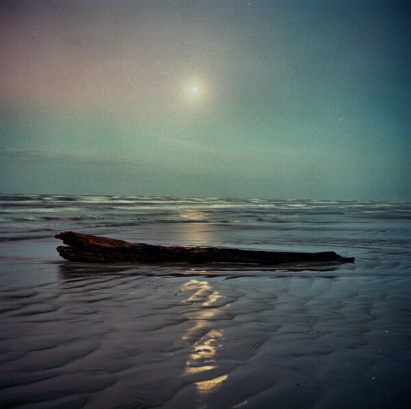 Moonlit beach with driftwood in Galveston, a photograph by Ken Osborne