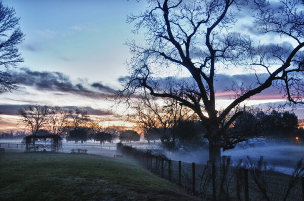 A misty dawn at Simonton with silhouetted trees against a colorful morning sky.