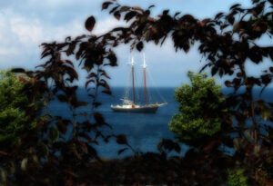 Schooner sailing on calm waters viewed through a natural frame of leaves