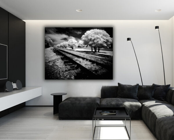 "Ethereal Rails" is a monochromatic masterpiece, infusing a sleek modern space with a sense of timeless wanderlust.